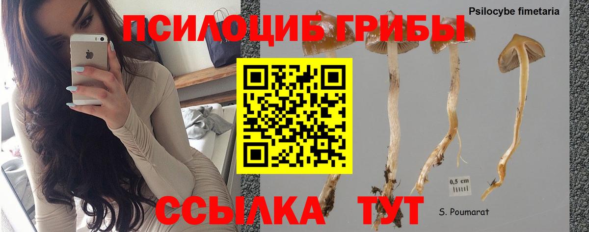 Галлюциногенные грибы ЛСД Железноводск