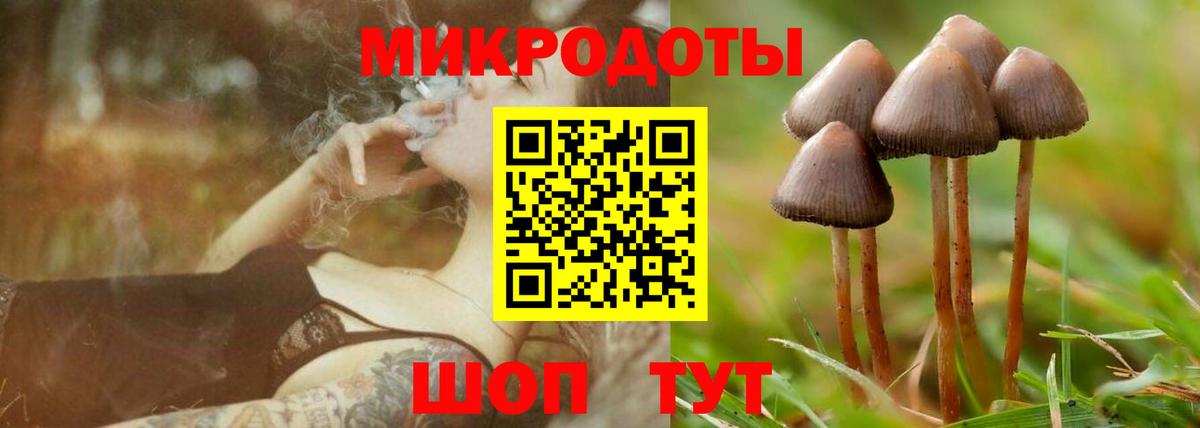 Галлюциногенные грибы прущие грибы  Вход с VPN  Железноводск  Галлюциногенные грибы мухоморы 